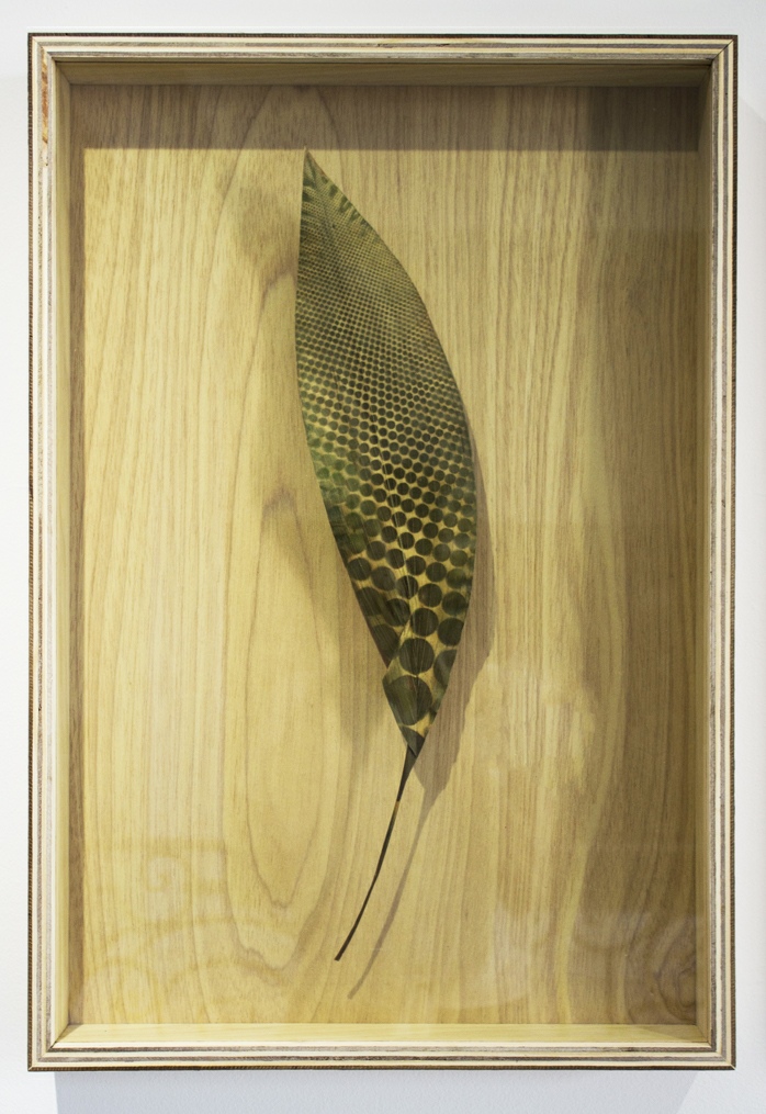 Capucine Vandebrouck, Filigranes, 2017, 60 cm x 50 cm chaque