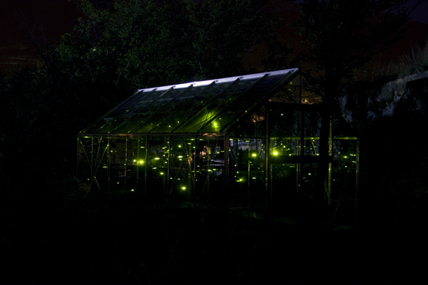  Sphère de nuit, Erik Samakh, jardin du Roc, Embrun, 2010. Photo: Anthony Morel