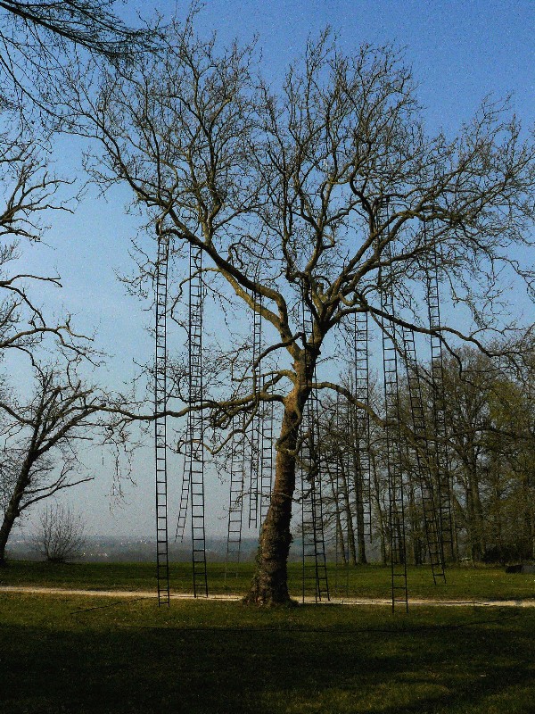 François Méchain, L’arbre aux échelles, 2009