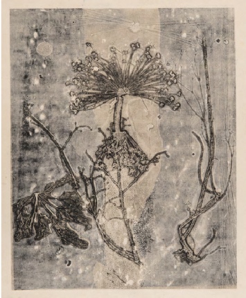 Danièle Schiffmann, Monotype, 40x50cm