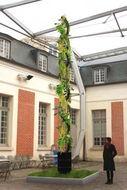 Alexis Tricoire, Extensions tentaculaire, cour de la Maréchalerie, Versailles, 2011