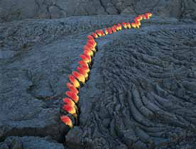 Nils-Udo, Fissure dans une coulée de lave, fleurs appelées "lanternes", Ilfochrome sur aluminium, 96 x 124 cm. Ile de la Réunion, océan Indien, 1998 © Nils-Udo
